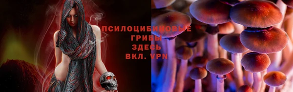 первитин Абинск